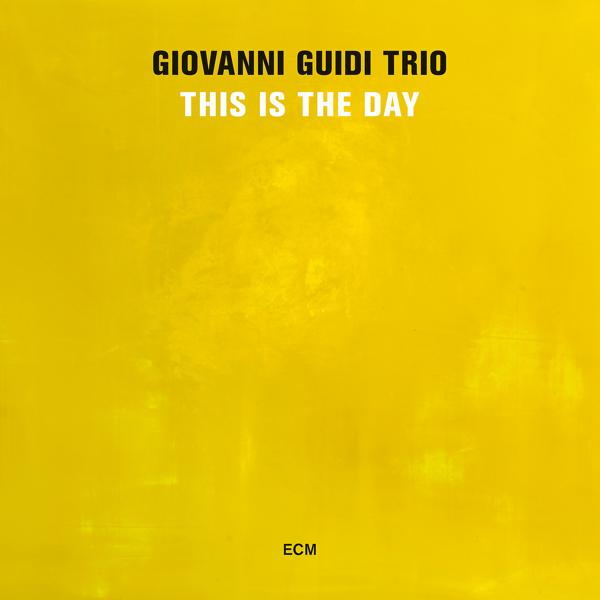 Giovanni Guidi Trio - The Debate