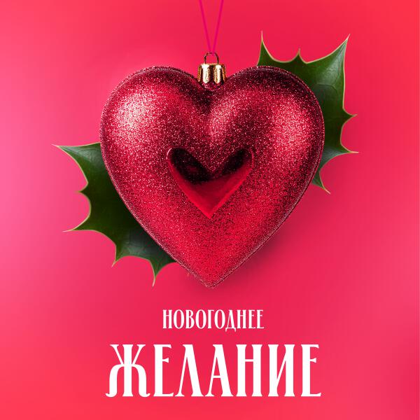 DJ Vini, Анна Любимая - Новогоднее желание