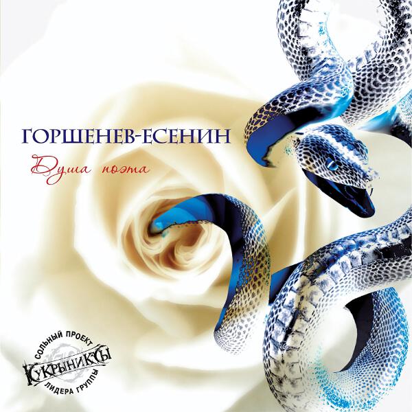 Алексей Горшенев - Скрипка-метель