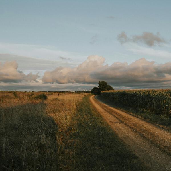 Antent, Nectry, thedeathlysilence - if it was right