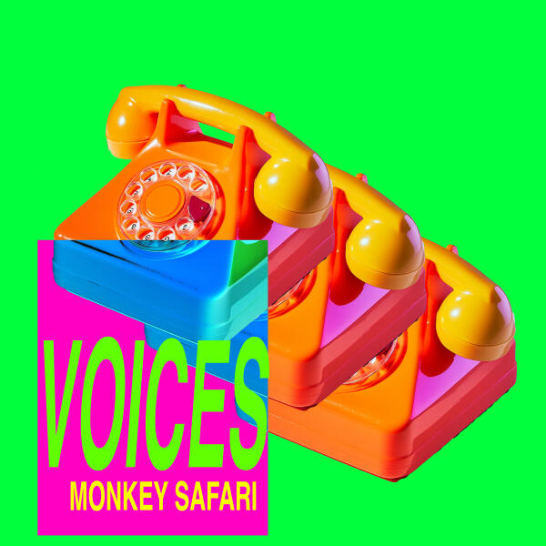 Monkey Safari - Voices