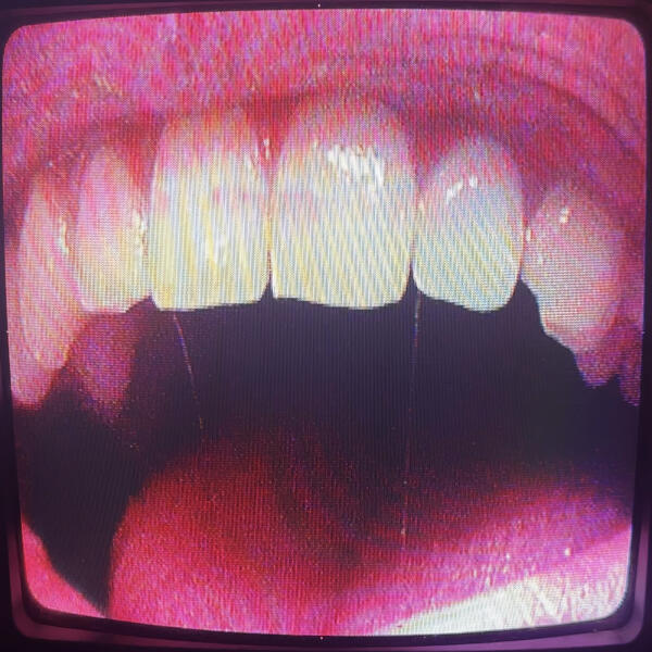 Samant - RIGIO (fall 4 u)