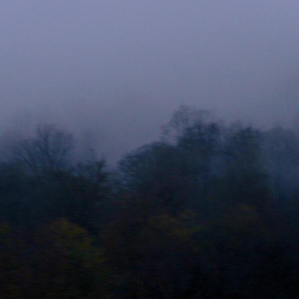 Money Flip - old memories