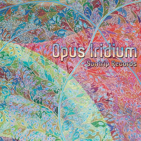 Radical Distortion - The Dreamer