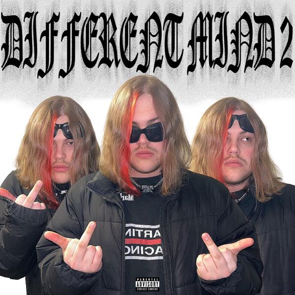 Measora - кисы - котики