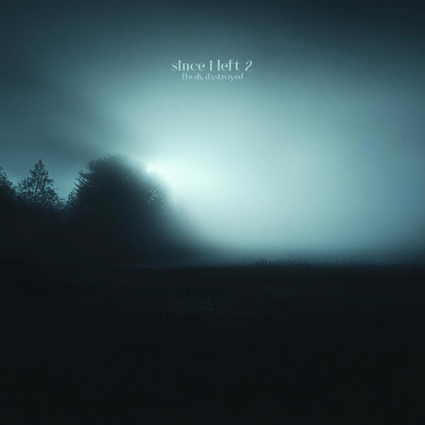 Flwsh, dxstroyed - since i left 2