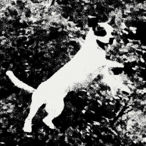 Edmondson, Mahyar Rahmantalab Vaghei - Azura