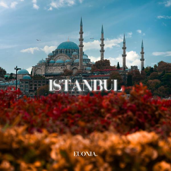 WHM, DeepX - Istanbul