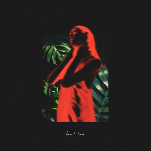 reddogy, Alexstereotip - La vida loca