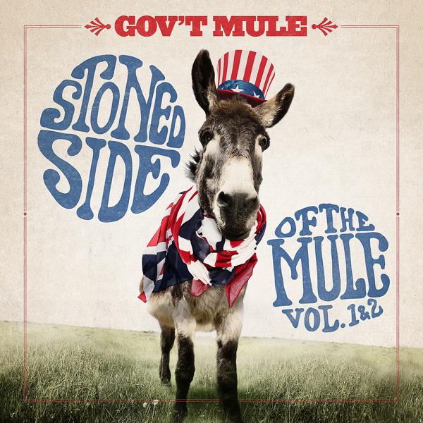 Gov't Mule - Wild Horses