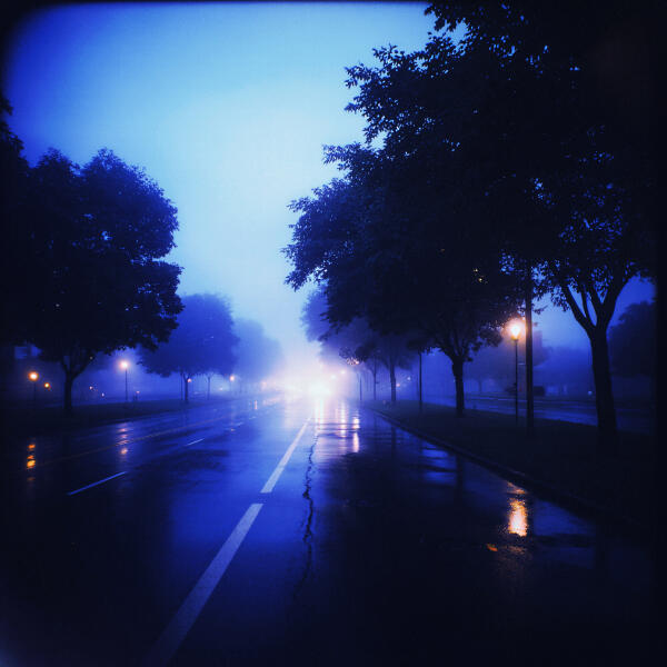 Moook - Summer Nights