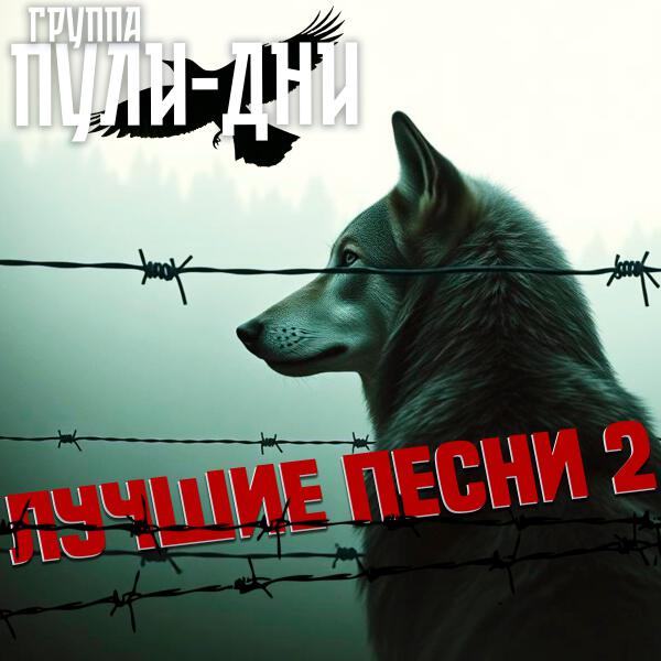 Группа Пули-Дни - Корсар