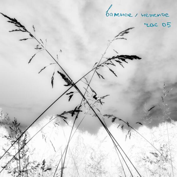 час 05 - важное/нежное