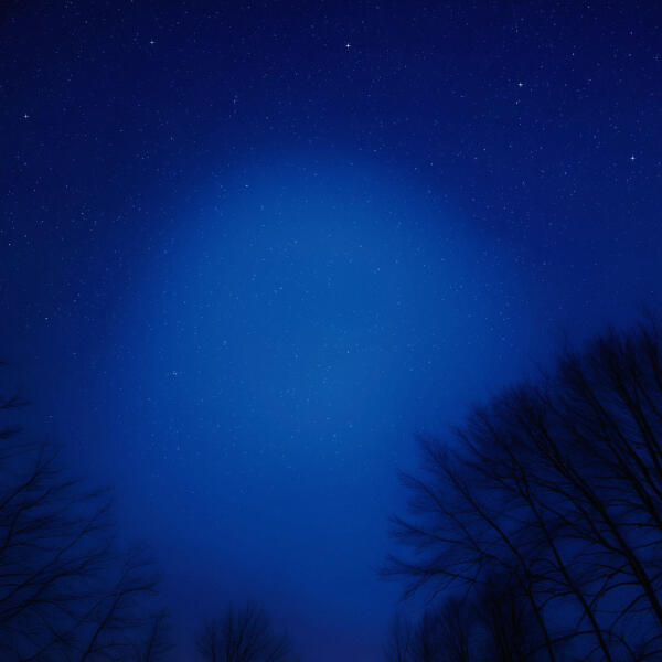 Moook - Past and Present