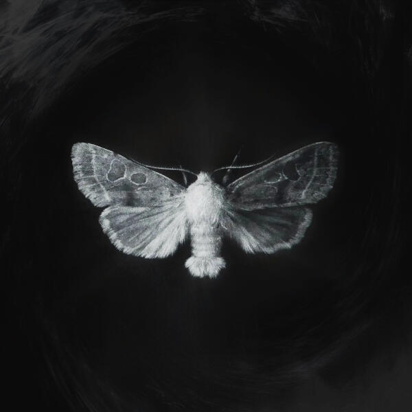 DIGITAL REY - Your Love