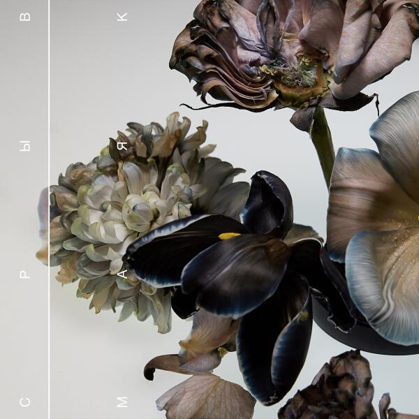 маяк - Шелковая цепь