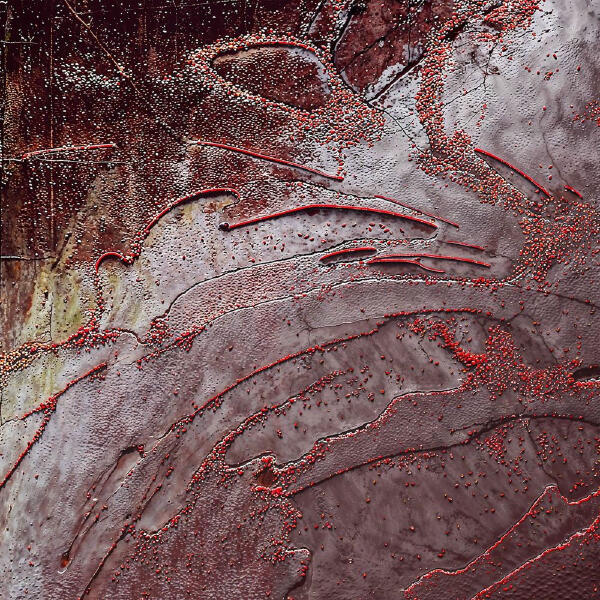 Skrillex, Chris Lake, ANITA B QUEEN - LA NOCHE