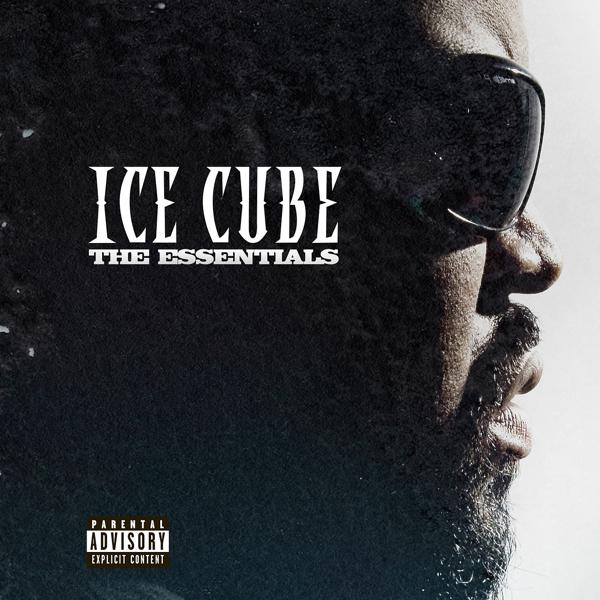 Ice Cube - Check Yo Self