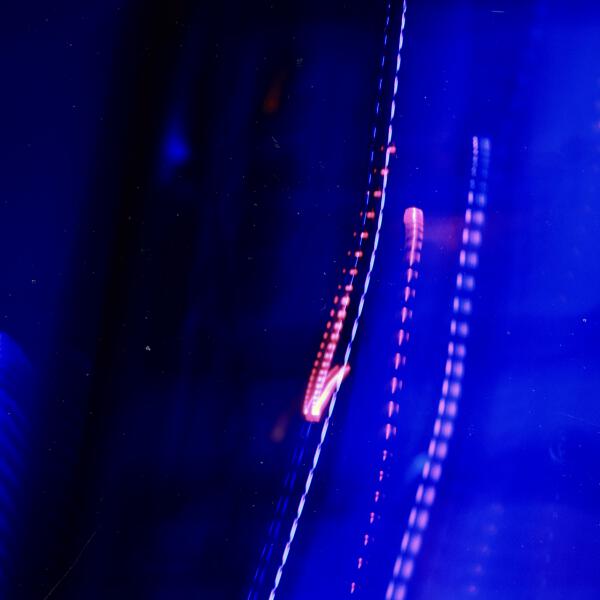 Savva Blinnikov - Dream World