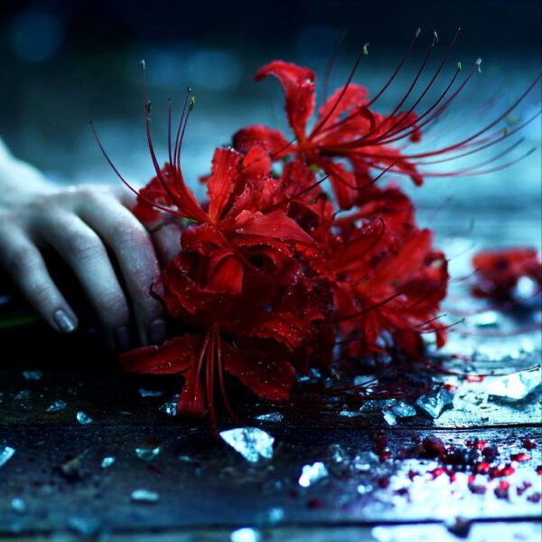 Танисия - Яд