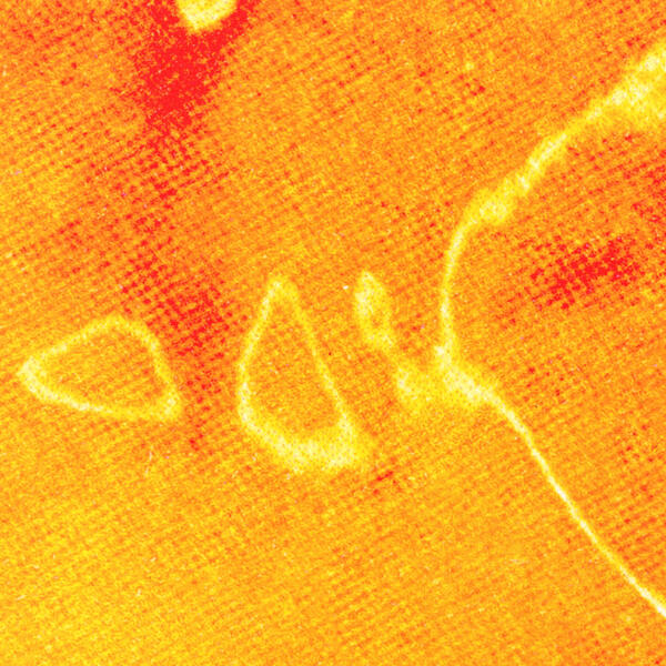 Mereba, Monte Booker - b 2 b