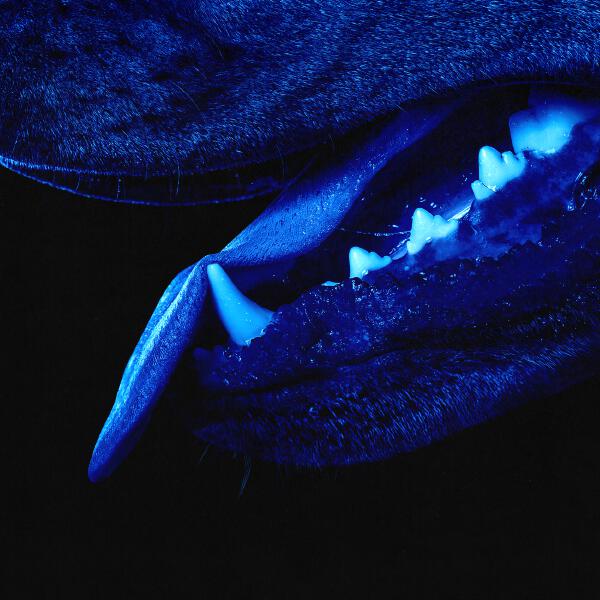 Overmono - Paradise Runner