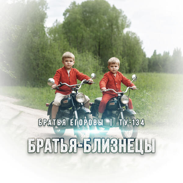 Братья Егоровы, ТУ-134 - Братья-близнецы